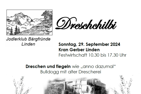 Dreschchilbi Flyer 2024.png